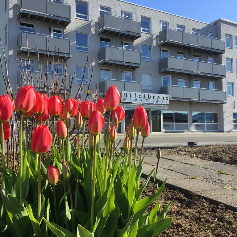 希尔迪布兰德公寓酒店 Neskaupstaður 外观 照片